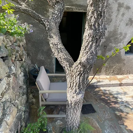 Lortu Vivu Castifao